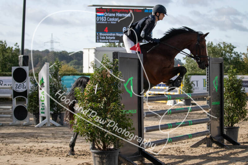 bouferterhaff-jumping-38-standard-uky26h.jpg