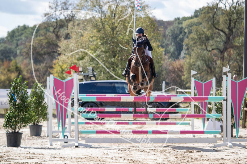 bouferterhaff-jumping-38-standard-vs6ycs.jpg
