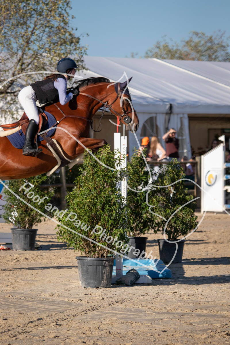 bouferterhaff-jumping-38-standard-wzdmna.jpg