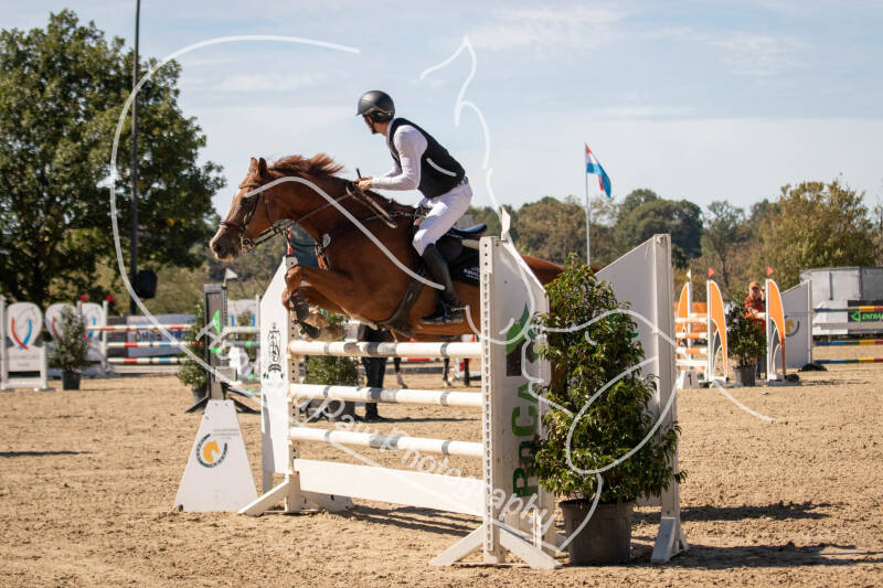 bouferterhaff-jumping-38-standard-xf3qfd.jpg
