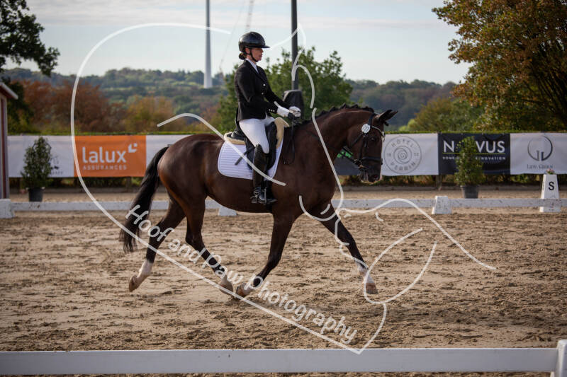 bouferterhaff-jumping-38-standard-z3k7yt.jpg