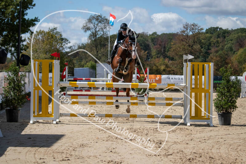 bouferterhaff-jumping-38-standard.jpg