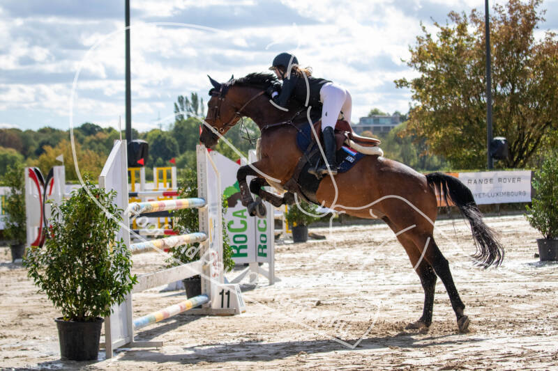 bouferterhaff-jumping-39-standard-2qgvv1.jpg