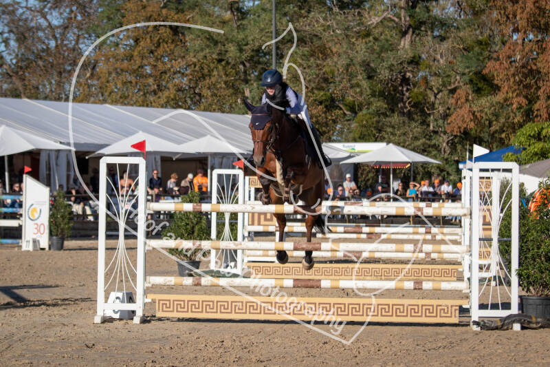 bouferterhaff-jumping-39-standard-5ia4h3.jpg