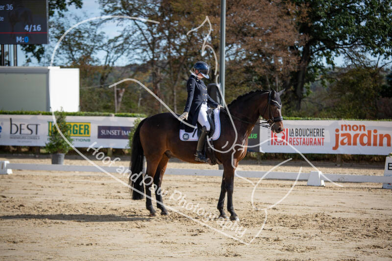 bouferterhaff-jumping-39-standard-7oogxs.jpg