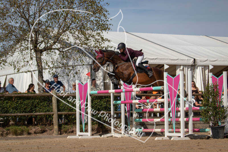 bouferterhaff-jumping-39-standard-7y4p1y.jpg