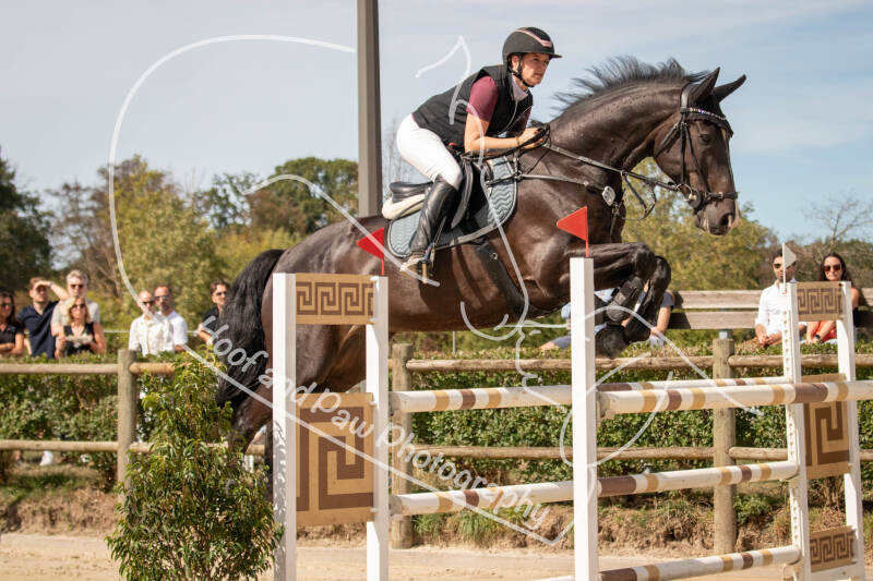 bouferterhaff-jumping-39-standard-9ao51k.jpg