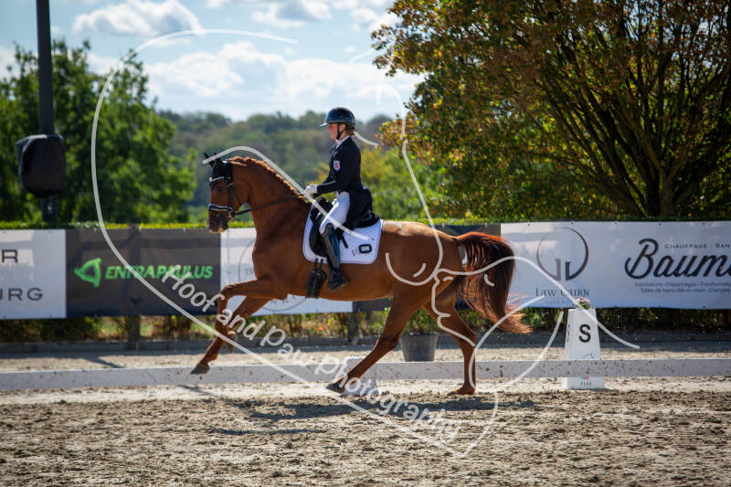 bouferterhaff-jumping-39-standard-9lrm7d.jpg