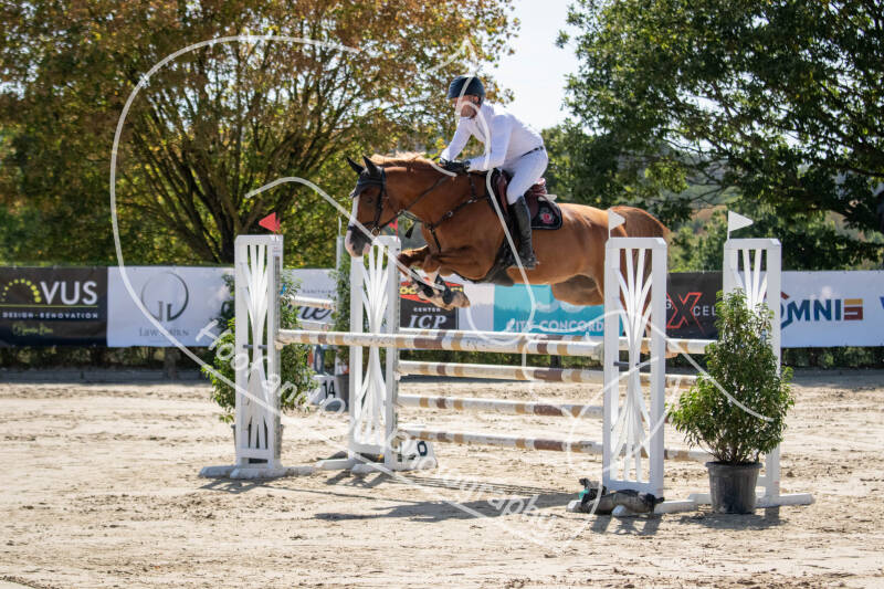 bouferterhaff-jumping-39-standard-b2h4nb.jpg