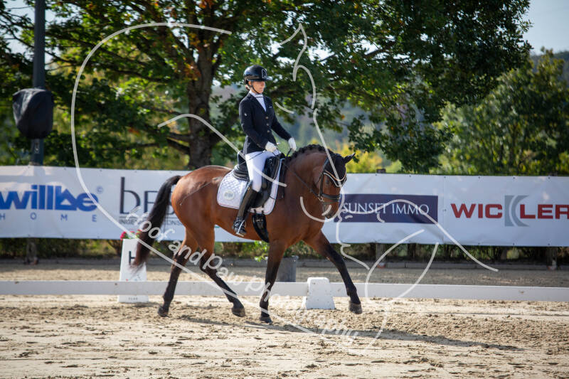 bouferterhaff-jumping-39-standard-ban7v7.jpg