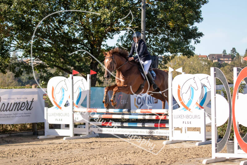 bouferterhaff-jumping-39-standard-to437c.jpg