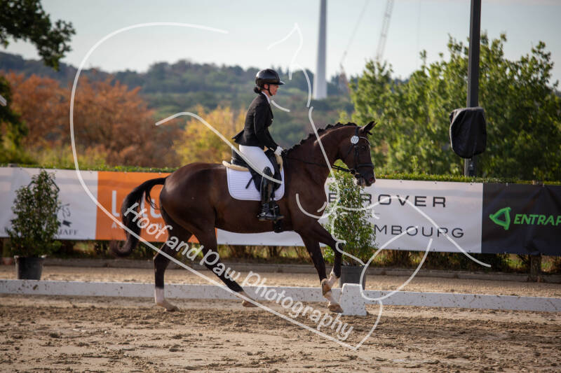 bouferterhaff-jumping-39-standard-x84mt0.jpg