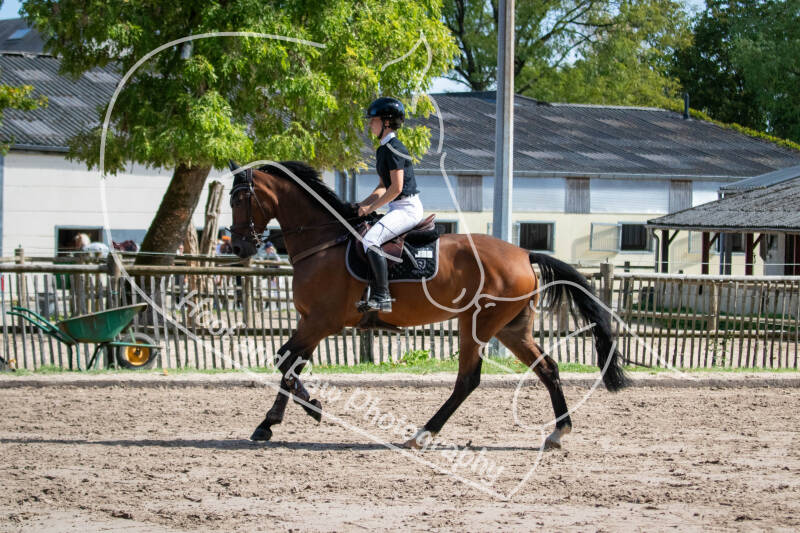bouferterhaff-jumping-4-standard-13ovqv.jpg