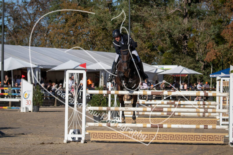 bouferterhaff-jumping-4-standard-1a7vkm.jpg