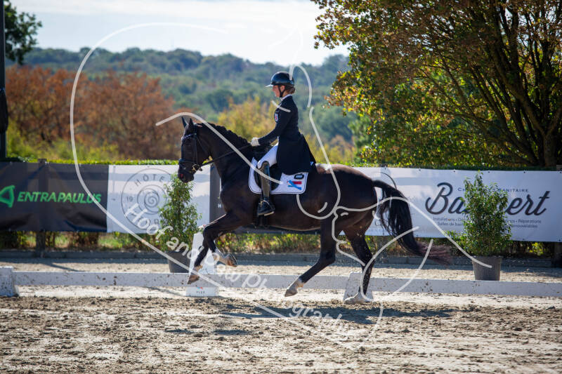 bouferterhaff-jumping-4-standard-ez7gjn.jpg