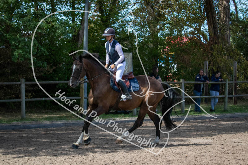 bouferterhaff-jumping-4-standard-fx0m7c.jpg