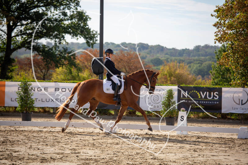 bouferterhaff-jumping-4-standard-jjy0ob.jpg