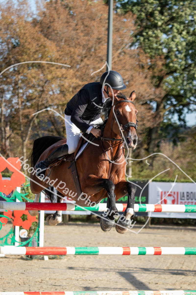 bouferterhaff-jumping-4-standard-unymzu.jpg