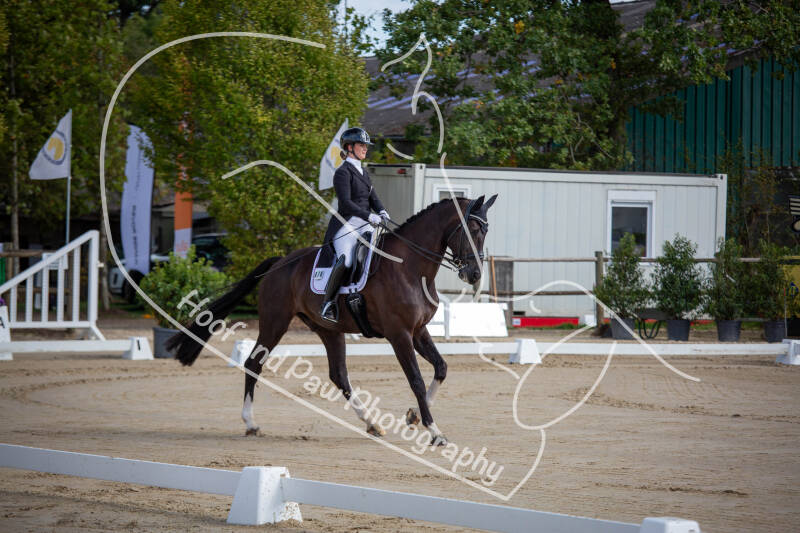 bouferterhaff-jumping-4-standard-xlakdf.jpg