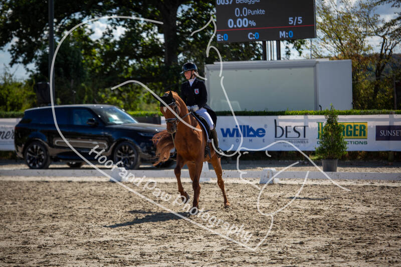 bouferterhaff-jumping-40-standard-3i7fvs.jpg