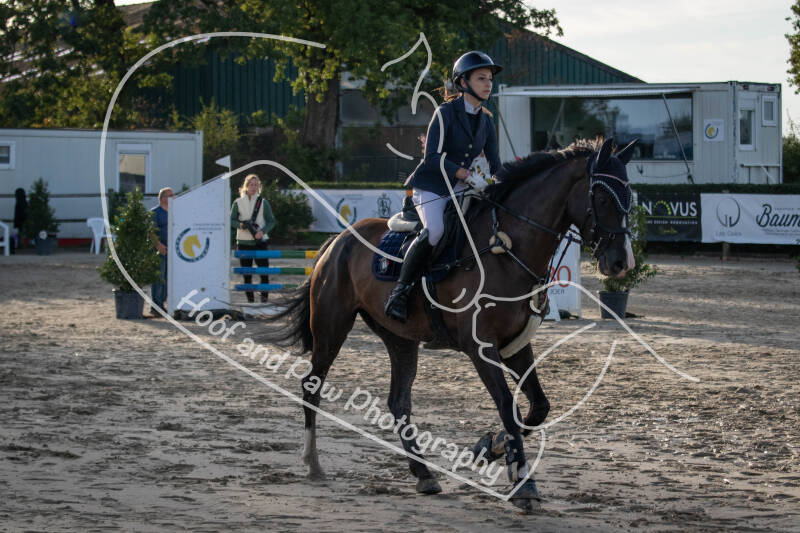 bouferterhaff-jumping-40-standard-3nn38v.jpg