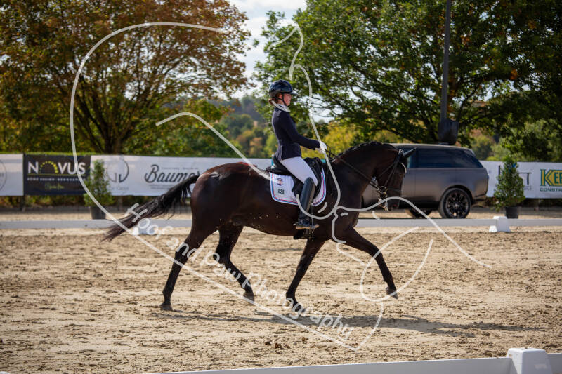 bouferterhaff-jumping-40-standard-67kpy7.jpg