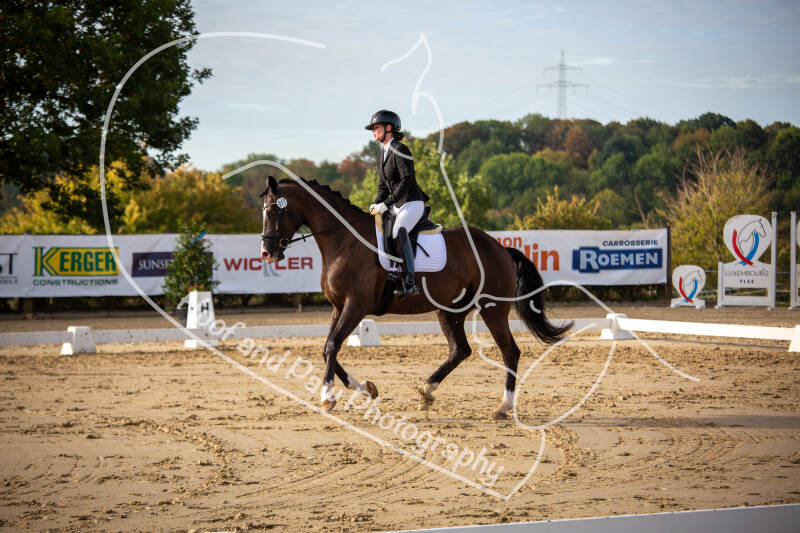 bouferterhaff-jumping-40-standard-7wvxdm.jpg