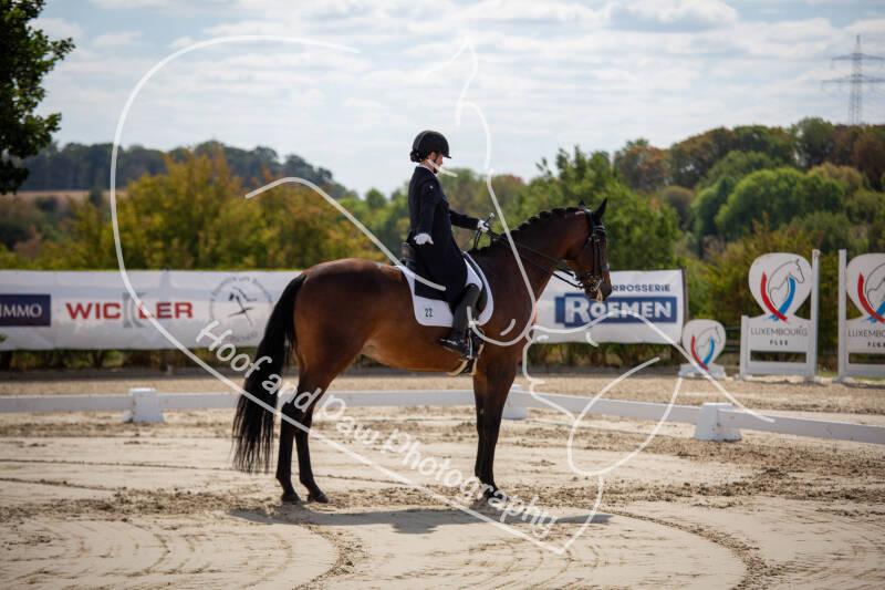 bouferterhaff-jumping-40-standard-ceeb3a.jpg