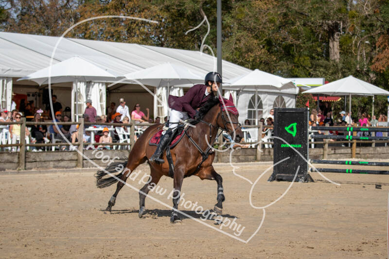 bouferterhaff-jumping-40-standard-ekxpcz.jpg