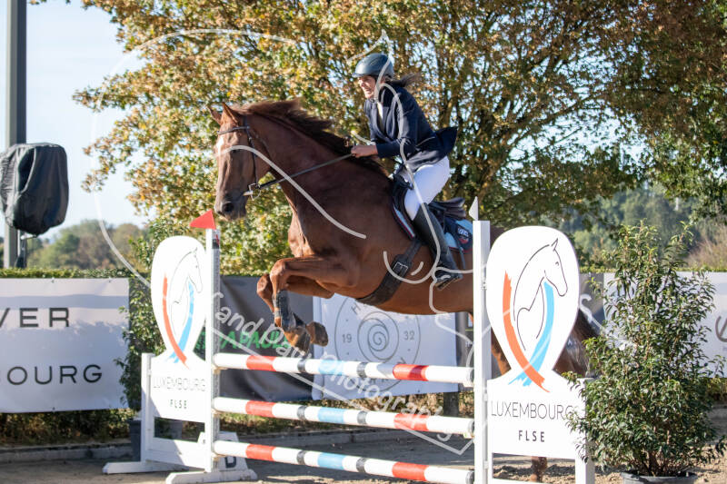 bouferterhaff-jumping-40-standard-gvqjhy.jpg