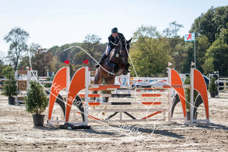 bouferterhaff-jumping-40-standard-kvd6y4.jpg