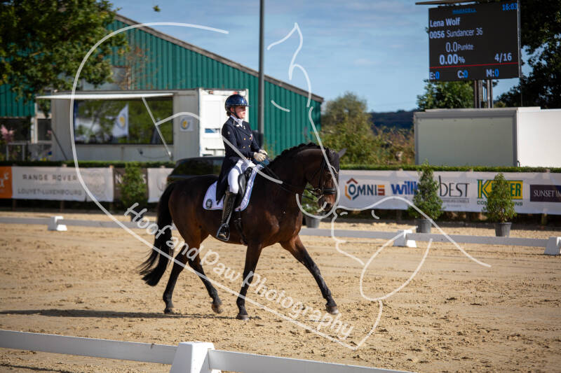 bouferterhaff-jumping-40-standard-nxpxo0.jpg