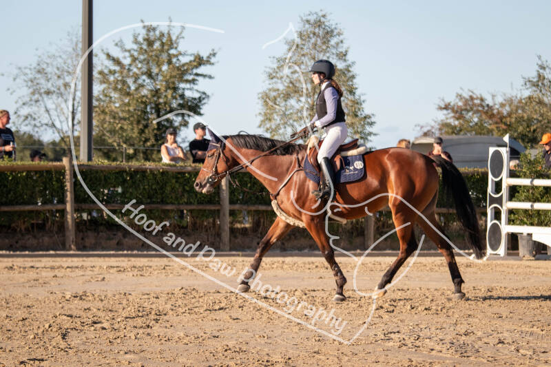 bouferterhaff-jumping-40-standard-xzlcyw.jpg