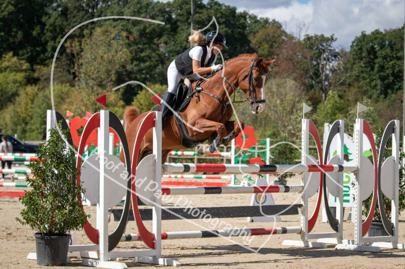 bouferterhaff-jumping-40-standard.jpg