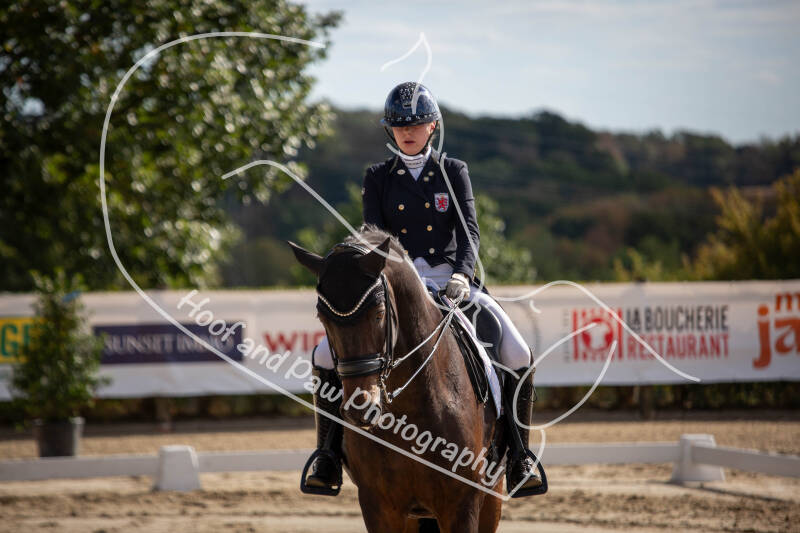 bouferterhaff-jumping-41-standard-29j10y.jpg
