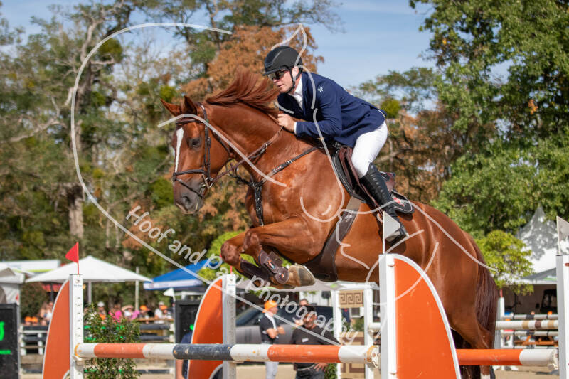 bouferterhaff-jumping-41-standard-3mzkhv.jpg
