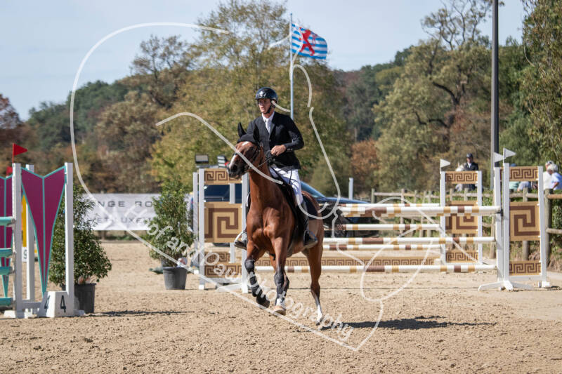 bouferterhaff-jumping-41-standard-6pwk7c.jpg