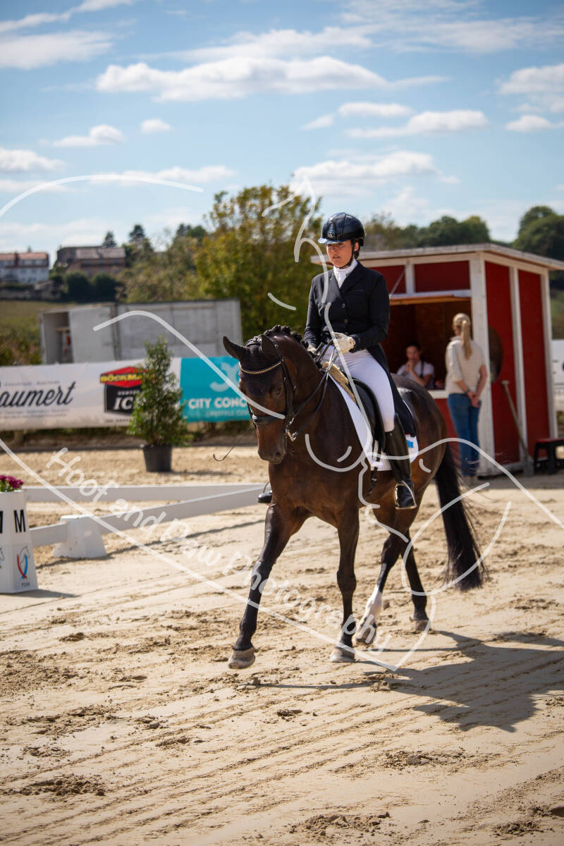 bouferterhaff-jumping-41-standard-6r1yst.jpg