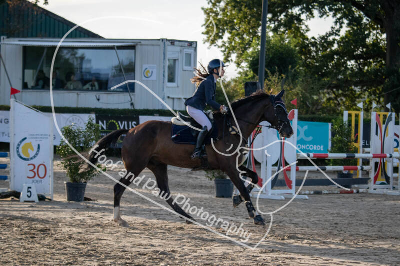 bouferterhaff-jumping-41-standard-8ziliz.jpg
