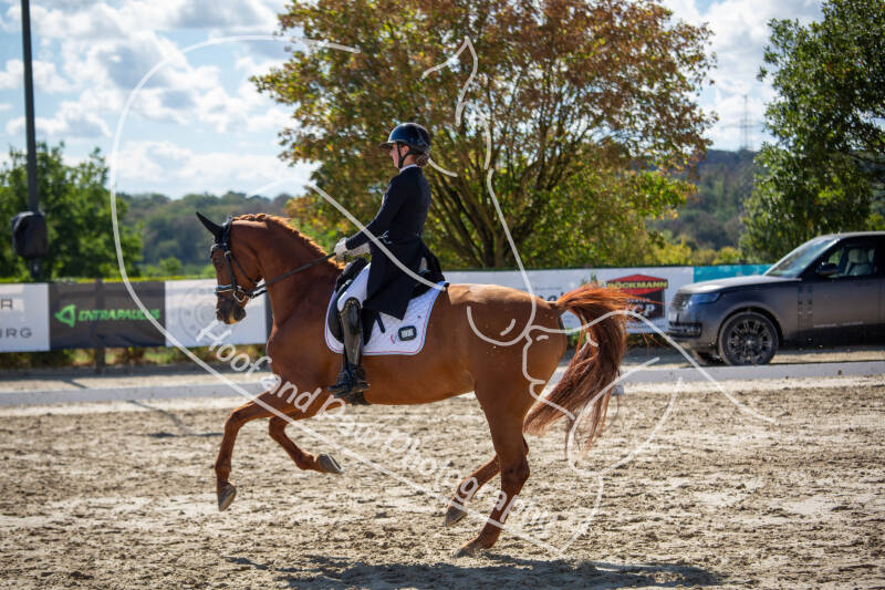 bouferterhaff-jumping-41-standard-dqpgxc.jpg