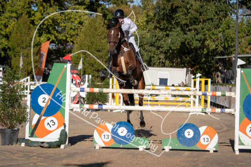 bouferterhaff-jumping-41-standard-dv8dyv.jpg