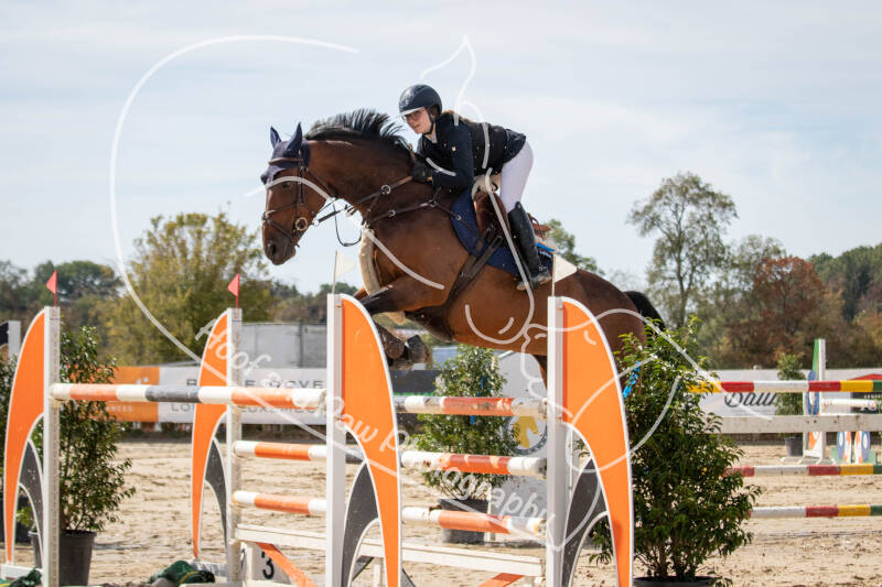 bouferterhaff-jumping-41-standard-fpluio.jpg