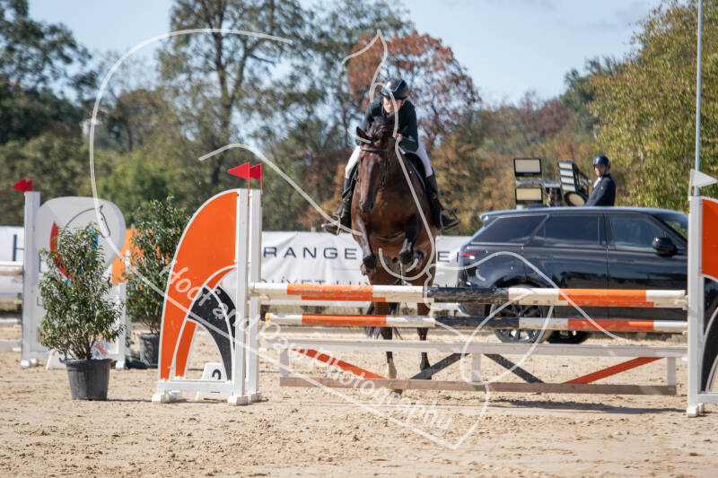 bouferterhaff-jumping-41-standard-hp1h5s.jpg