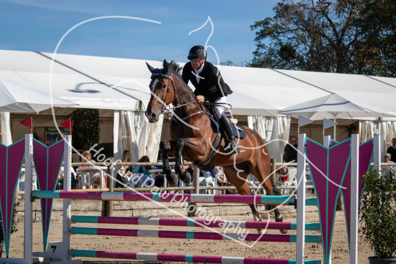 bouferterhaff-jumping-41-standard-p74sqe.jpg