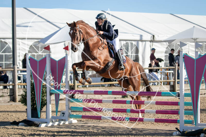 bouferterhaff-jumping-41-standard-rfpxge.jpg
