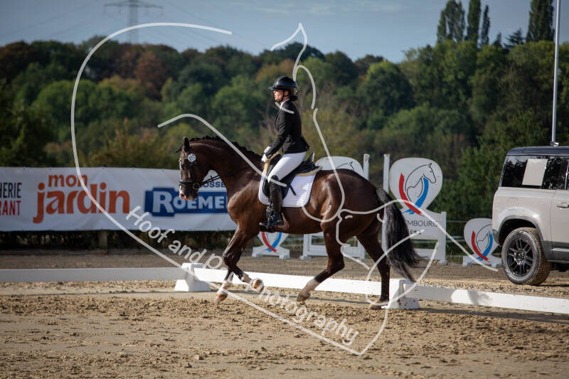 bouferterhaff-jumping-41-standard-rjvulk.jpg