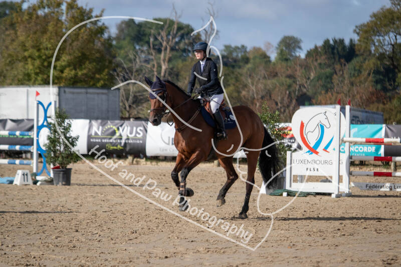 bouferterhaff-jumping-41-standard-ytyerd.jpg