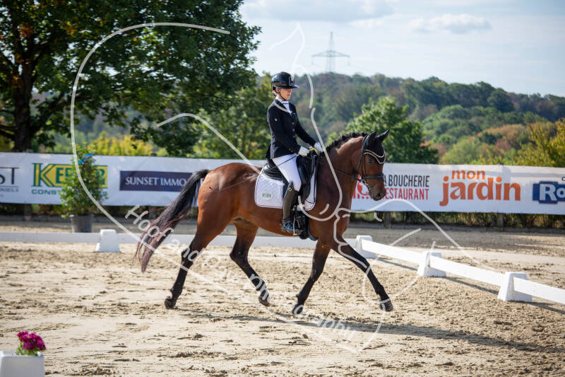 bouferterhaff-jumping-41-standard-zu1nrz.jpg
