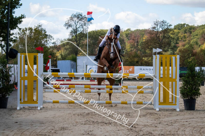 bouferterhaff-jumping-41-standard.jpg