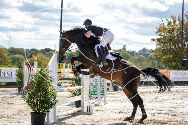 bouferterhaff-jumping-42-standard-0aus8v.jpg